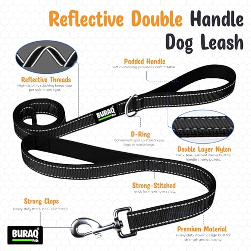 Image of Buraq Pets 6FT Double Handle Dog Leash Reflective Padded Grip