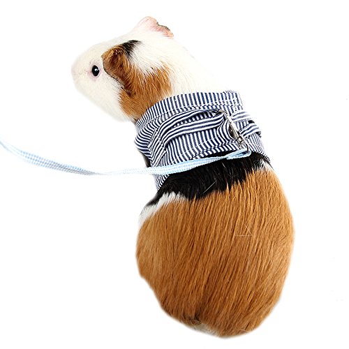 ASOCEA Geschirr und Leine für Kleintiere Verstellbare Laufleine für Haustiere Komfort gepolsterte Weste Trainingsleine für Ratten Leguan Hamster Frettchen