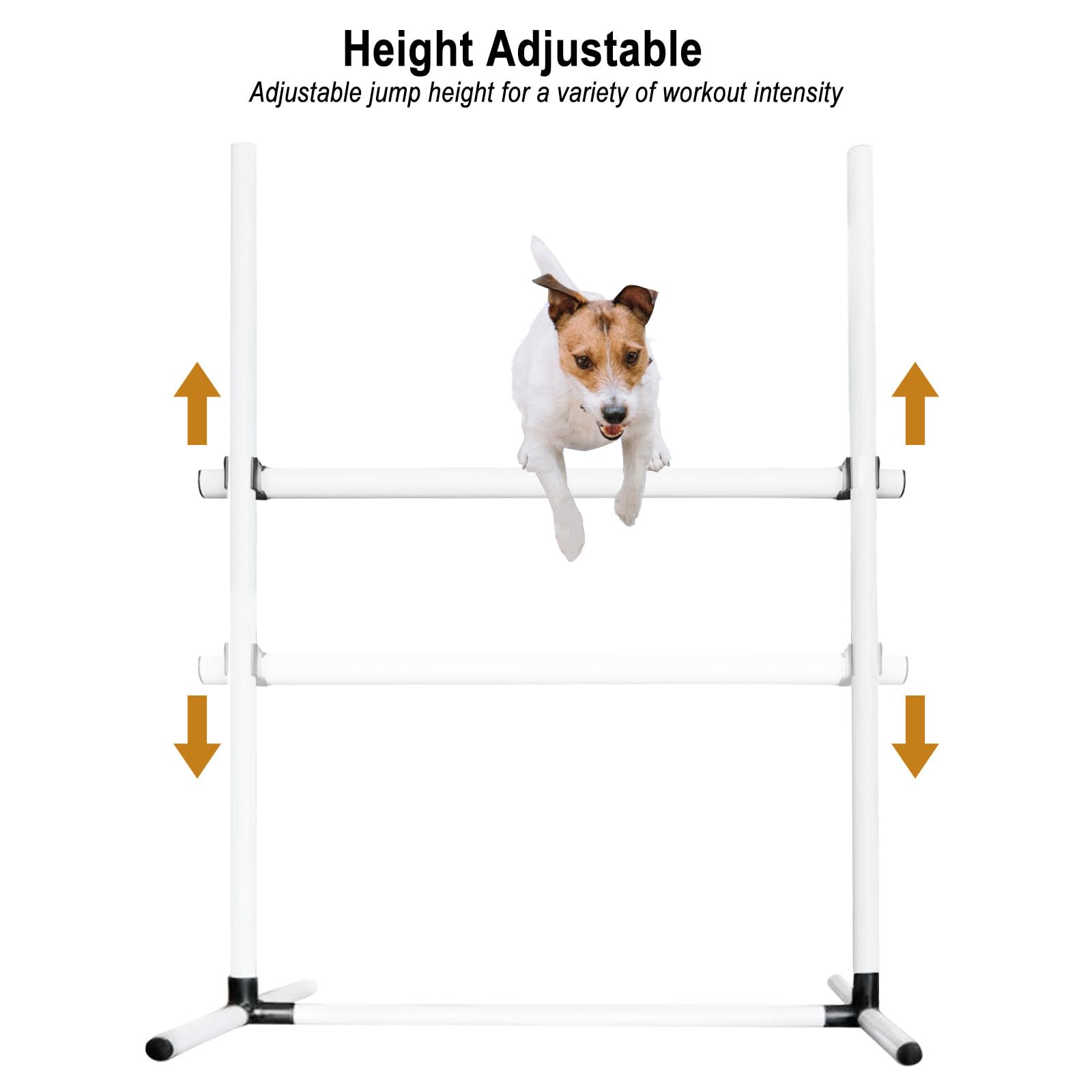 Kit di salto per l'agilità del cane, set di ostacoli regolabili con borsa portaoggetti, facile da installare, attrezzatura per corsa ad ostacoli per interni ed esterni, per cani