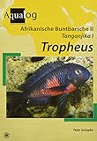 Afrikanische Buntbarsche 2. Tanganjika 1. Tropheus: Die Arten der Gattung Tropheus (Aqualog)