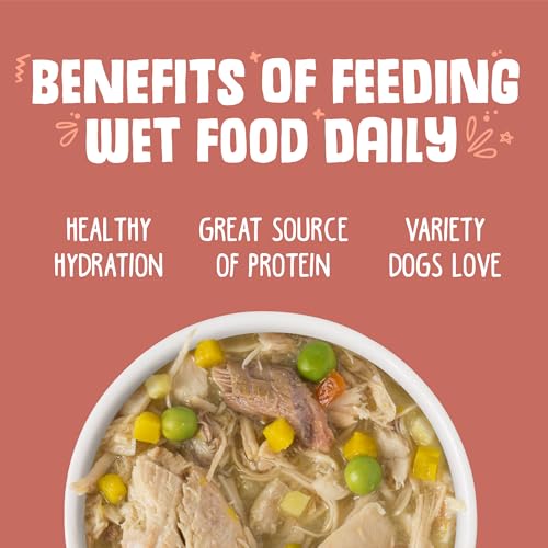 Weruva Classic Dog Food, Jammin' Salmon with Chicken & Salmon in Gravy, 5.5oz Can (Pack of 24) - Thumbnail 5