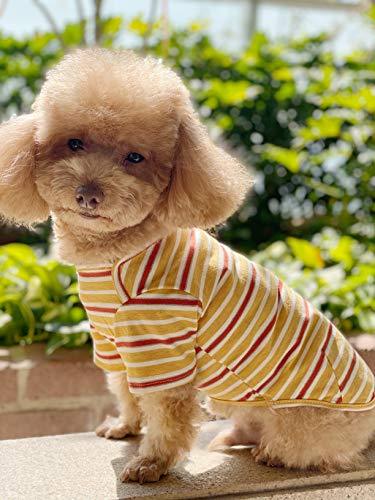 Knuffelen Dog Shirts Cotton Striped T-Shirt, Summer Pet Clothes For Small Dogs, 2-Pack Soft Puppy Apparel Cat Tee, Breathable Stretchy, Blue Yellow Xl #TOP4