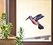 Blue Rainbow Hummingbird - Stained Glass Style - See-Through Vinyl Window Decal - Copyright Yadda-Yadda Design Co. (6"w x 5.5"h) (Color Variations Available) (Medium, Blue Rainbow)