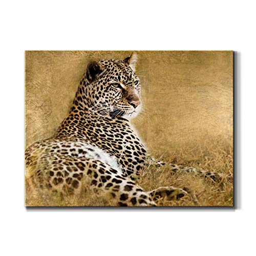 Renditions Gallery Serious Leopard Wall Art, African Safari Animal Artwork,