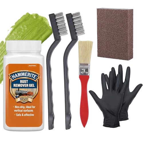 Rust Remover for Metal Complete Repair Kit Fast Rust Removal with Hammerite Rust Remover Gel 100ml 2 x Wire Brushes (Nylon Steel Brass) Gloves Paintbrush & 1x Scrub Pad for Cars Bikes & Gates