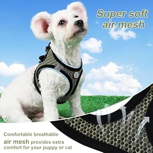 Dog harness for small dogs no pull dog harness soft air mesh puppy harness step in small dog harness cat harness all weather outdoor dog vest harness for pet cats dogs army green medium   cucciolini doodles