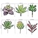 MAXZONE 16 Pack Artificial Succulent Create Realistic Succulent Flocking Plants Unpotted Fake Succulents Plant for Lotus Landscape Decorative Garden Arrangement Decor