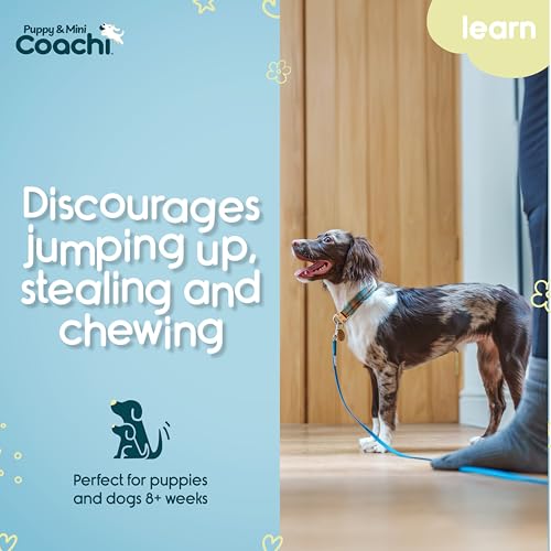 Using Puppy Training Line Indoors