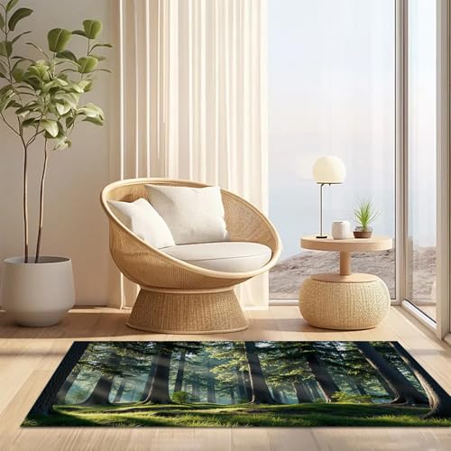Tapis souple lavable absorbant à profil bas pour entrée de maison
