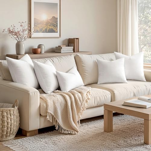 Image of MIULEE Feather and Down 26x26 Inch Throw Pillow Insert for Sofa Bed Couch