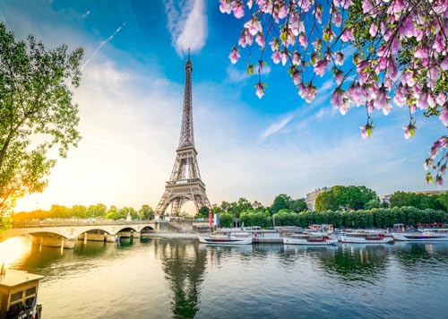 Paysage photographie fond Tour Eiffel grand format 3.5x2.5m pour studio et shooting mariage