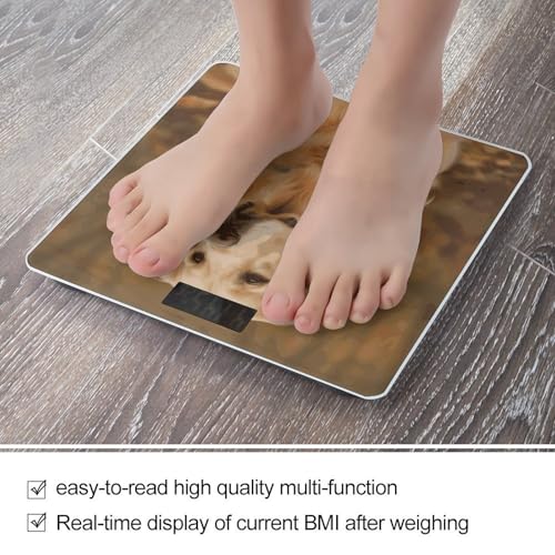 Báscula digital Golden Retriever para peso corporal miniatura 5