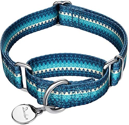 Dazzber Martingale Collar Nylon Dog Collar No Pull Pet Collar Heavy Duty for Medium and Large Dogs, Adjustable 17 Inch to 25 Inch, Turquoise Green