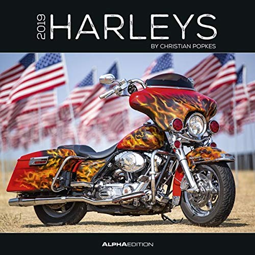 Télécharger Calendario da muro 30x30 cm harleys 2019 Francais PDF