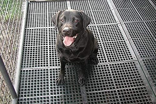 SS Paws Pet Plastic 36x12 Inch Dog Flooring Mat | Multipurpose Floor Mat for Dog, Cat, Rabbit, Goat (Black, Set of 4)-9E53 1