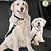 SunGrow Dog Seat Belt for Car, Adjustable Nylon Pet Seatbelt, Supports All Cars, Dog Car Leash Seat Belt, Seatbelt for Dogs, Cats & Ferrets Travel Harness
