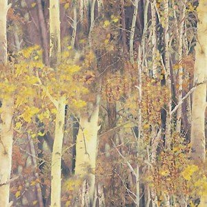 Spectrix Quilting Fabric Aspens