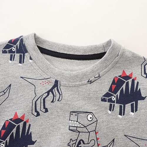 Boys Sweatshirts Long Sleeve Sweatshirts T-shirts Crew Neck Cotton Casual Sweatshirts Cartoon Tops for Boys-1343