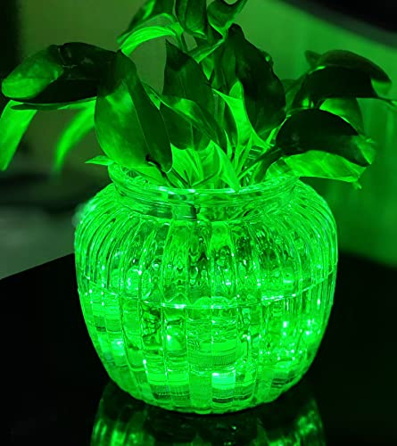 Image of Bright LED Battery Operated Flameless Tea Light, Submersible Tea Candle Waterproof Decorations Underwater Vase Light for Party & Wedding, Pack of 12 (Rose Green)