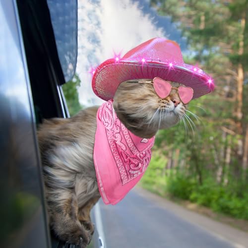 Set Disfraz Vaquero Para Perro con 3 Piezas Rosa Brillante miniatura 5