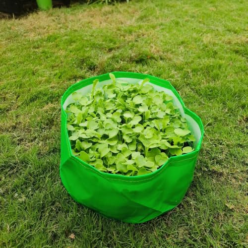Image of 10,000+ Microgreen Seeds Kit with 2 Grow Bags (9 inchx3 inch) | Value Pack of 10 Varieties with Reusable Grow Bags | High Germination | Easy to Grow