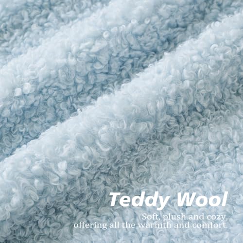 Image of Foindtower Set of 2 Curly Teddy Wool Pillow Covers Decorative Boucle Textured Lumbar Throw Pillow Faux Fur Sherpa Pillowcases Sheepskin Fuzzy Cushion Case for Sofa Bedroom Car 12 inchx20 inch Sky Blue