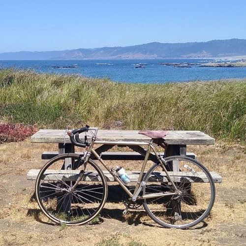 Tell Me About Your E-Bike