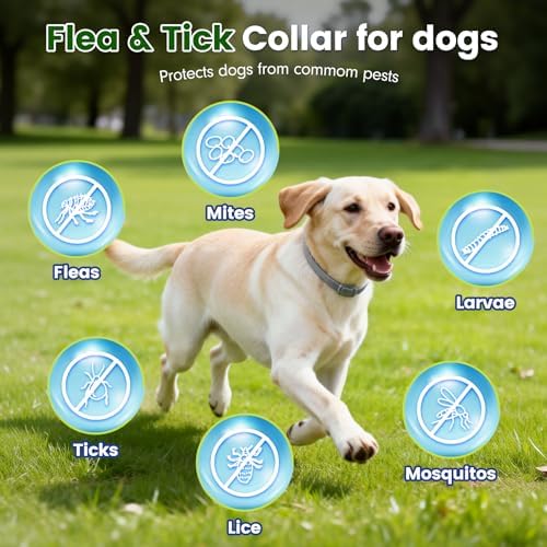tenerolike Flea and Tick Collar for Dogs, 5 Packs Flea Collar for Dogs with Natural Essential Oils, Waterproof & Adjustable Flea and Tick Prevention Collar for Small Medium Large Dogs & Puppies, Grey - 1