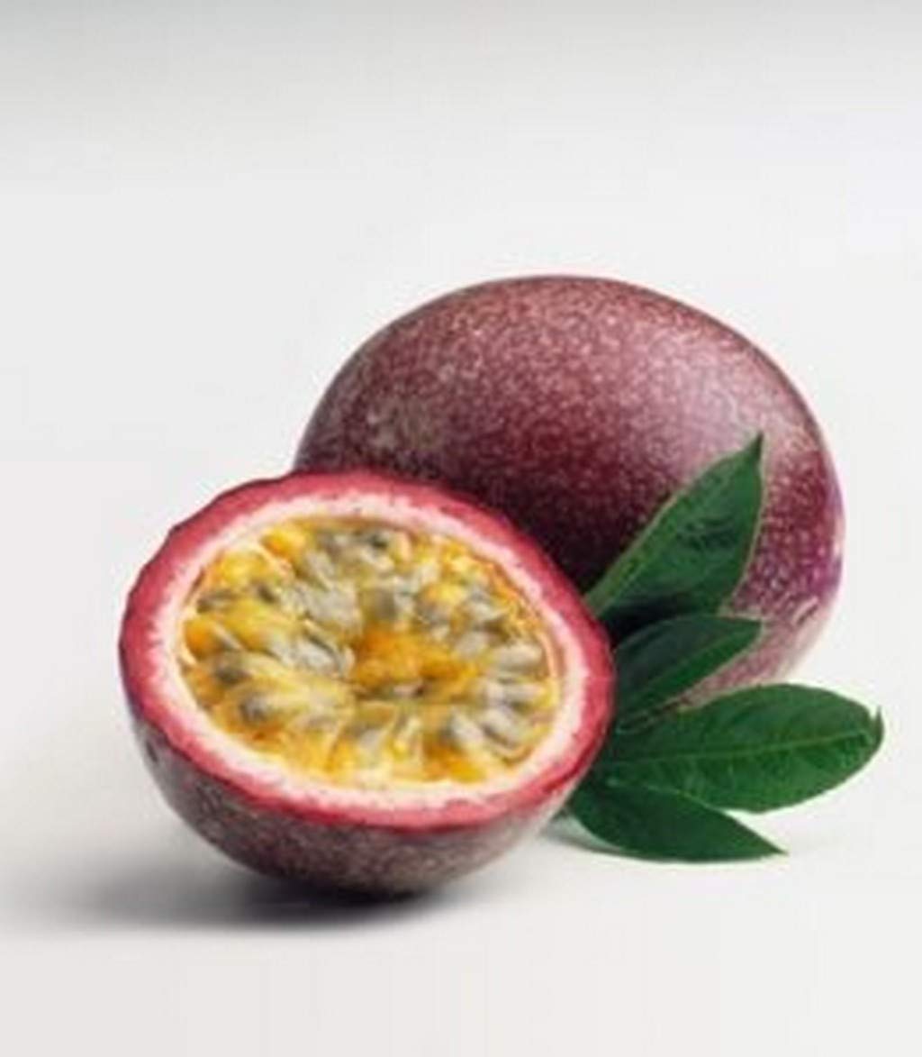 OhhSome Live Plant Passionflower Seedy Fruit Garden Plant(1 Healthy Live Plant) (B09N8ZJCX8) Amazon Price History, Amazon Price Tracker
