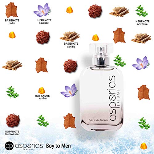 Asperias Perfume Asperias men 142 boy to men extrait de parfum langanhaltender duft parfüm herren würzig & süß - 50ml