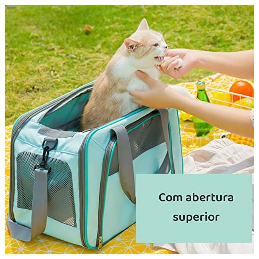 Bolsa de transporte, passeio para Pet, animal de estimação, cachorro, cão, gato