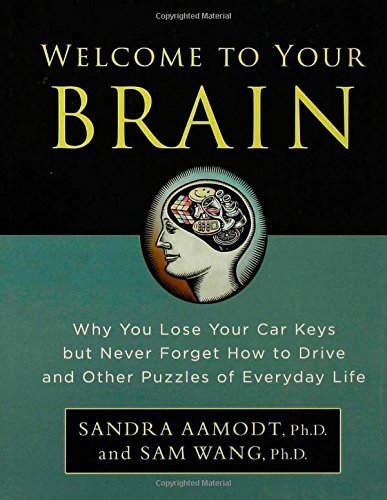 Welcome to Your Brain: Why You Lose Your Car Keys