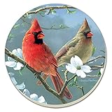 CounterArt Absorbent Stoneware Round Coaster Set - Beautiful Songbirds Cardinals