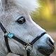 Soulhorse Marke Pferd Pony Hunde Glücksmarke Pferdemarke Gücksbringer Schutzengel Sattel Herz Trense Zaumzeug Vorderzeug Schlüsselanhänger Talisman für Tiere und Menschen (Zauberpony, Türkis)