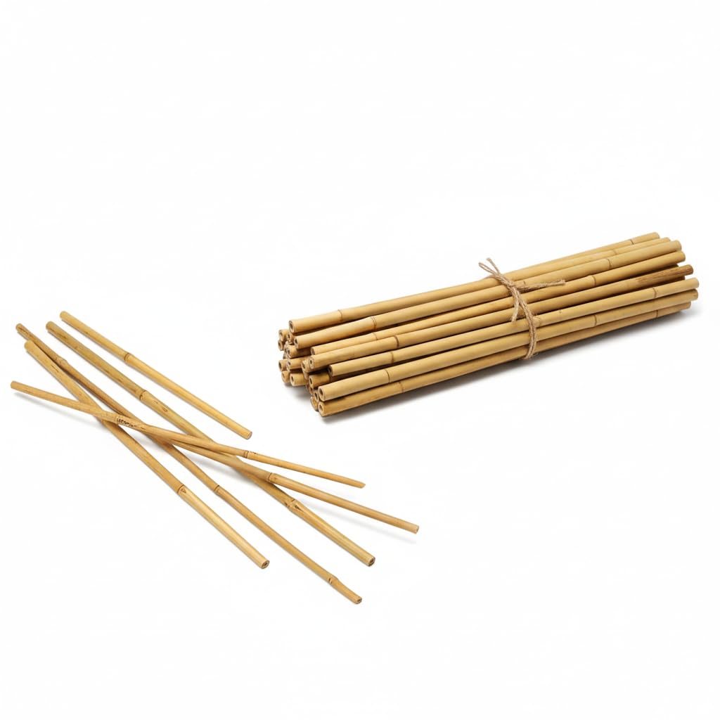 Natural Bamboo Garden Stakes (Pack of 100) – Multiple Sizes 2ft, 3ft, 4ft, 5ft, 6ft – Heavy Duty Plant Support Canes for Tomatoes, Climbing Plants & Trees (3ft, 12/14 mm)