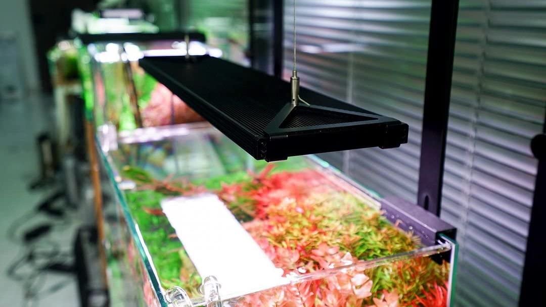 chihiros WRGB II Pro 120cm LED Licht (120-140cm, 138W, 11170lm)