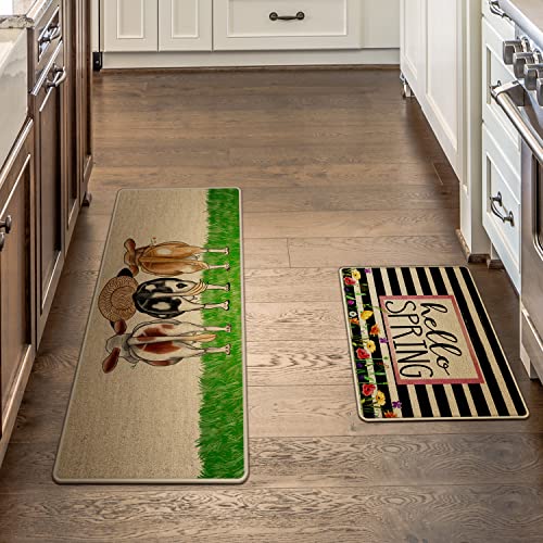 Spring Decorative Kitchen Mats Set Of 2, Non-Slip Absorbent Rug And Door Mats, Hello Spring Farmhouse Seasonal Kitchen Floor Mat 17X29 And 17X47 Inch Dm067 #TOP4