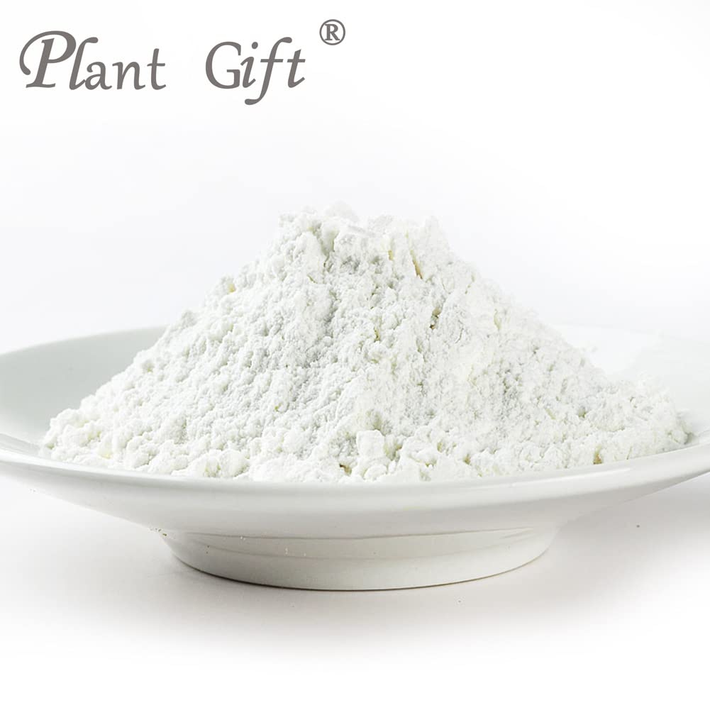 Plant Gift 100% Pure Lotus Seed Powder 莲子粉 Lotus Seed Flour, for Drinks, Adds Flavor and Taste Non-GMO Powder, No Filler, No additives 100G/3.25oz