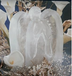Reusable Angel Ice Sculpture Mold with Instructions, Tips and Ideas