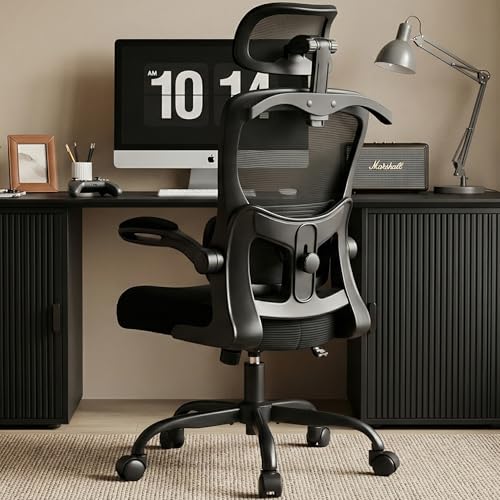 AreShark Office ChairErgonomic Desk Chair with Hid Review