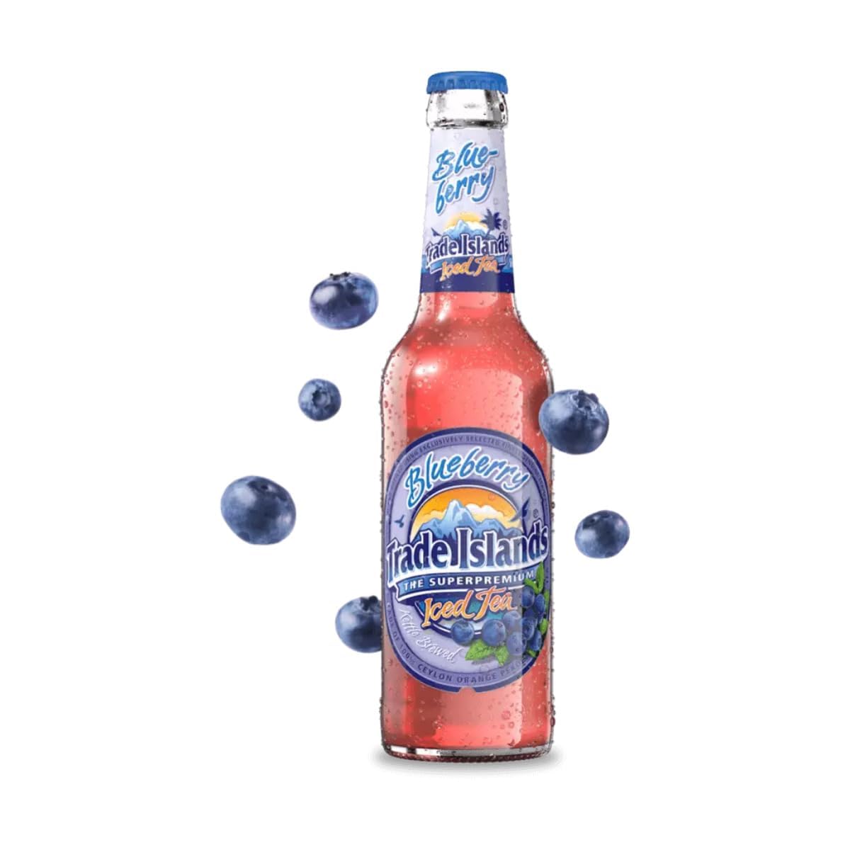 Trade Islands Iced Tea Blueberry 25 Flaschen je 0,33l inkl. Mehrweg Pfand