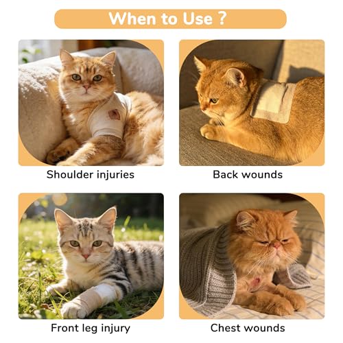 Combinaison chat convalescence chirurgicale orange S anti-léchage
