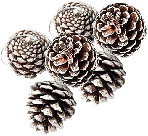 EPARTY-6 pcs Christmas Decoration Pine Cones Pinecone Xmas New Year Holiday Party Decoration Ornament for Home Supplies