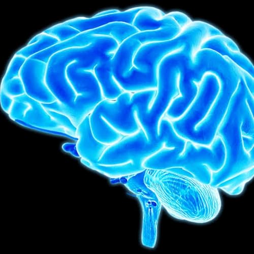 Skull, facial fractures & Skull base syndromes Podcast Por  arte de portada