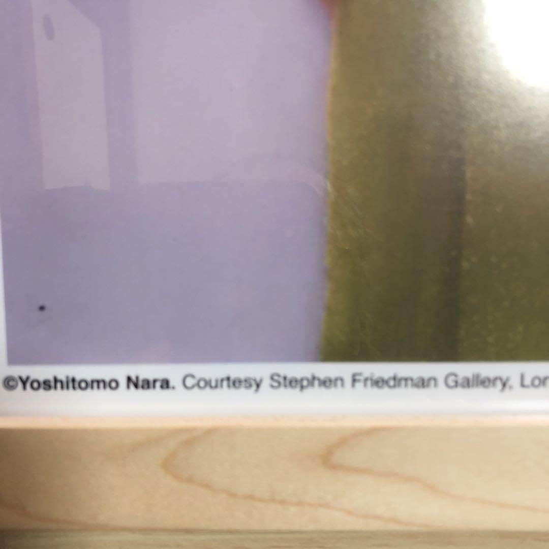 奈良 美智 2枚揃い ポスター Amazon.co.jp: 奈良美智 ポスター Cosmic Girl 2枚組 : 奈良美智