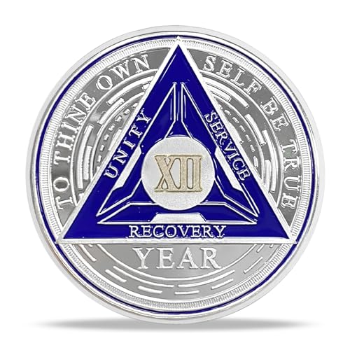 Image of Imasoner 12 Year Sobriety Coin Alcoholics Anonymous Medallion Sobriety Chip Anniversary Token Recovery Gift
