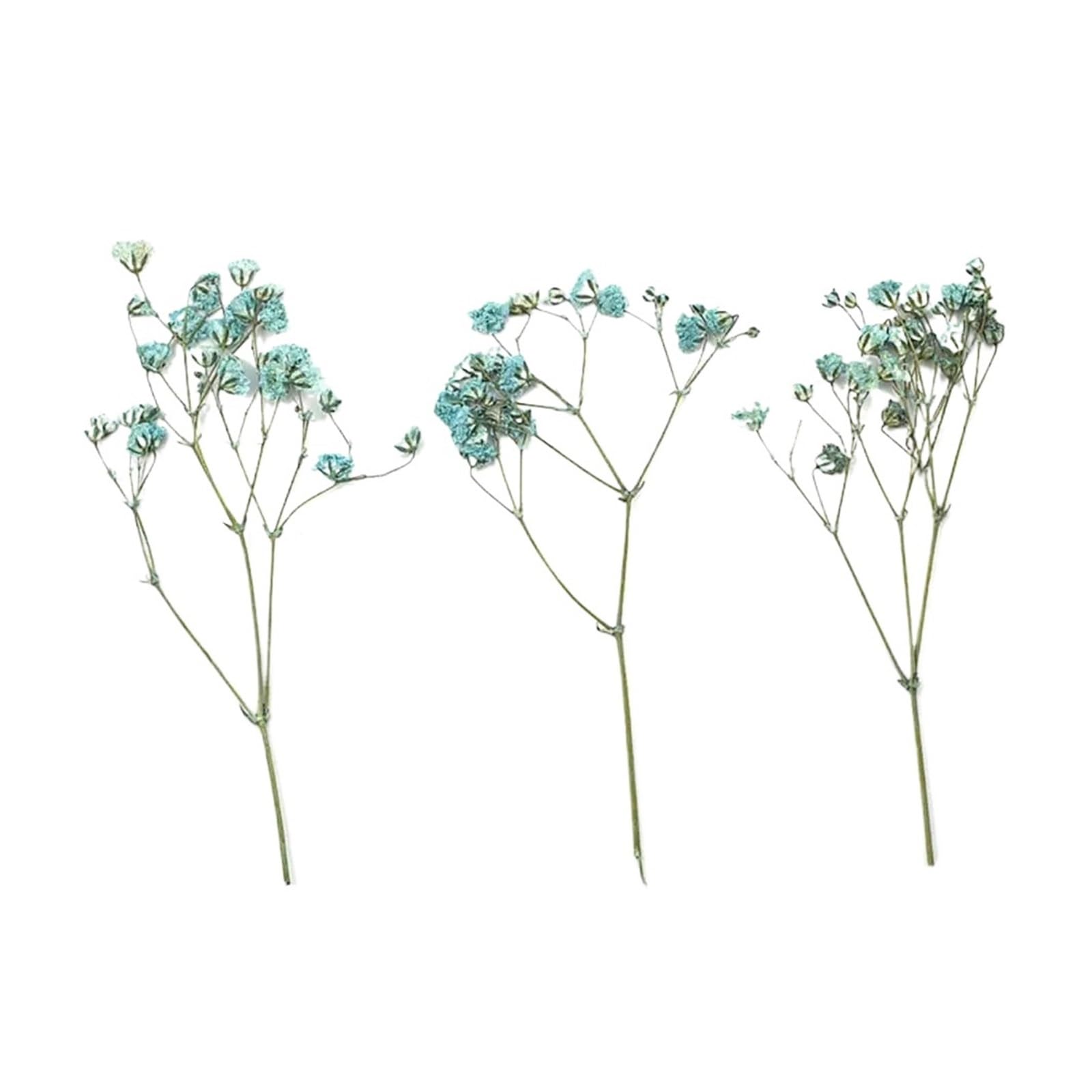 WJIAYAO dried gypsophila flowers 12Pcs Gypsophila Bouquets Colorful Dried Flower(Sky Blue)