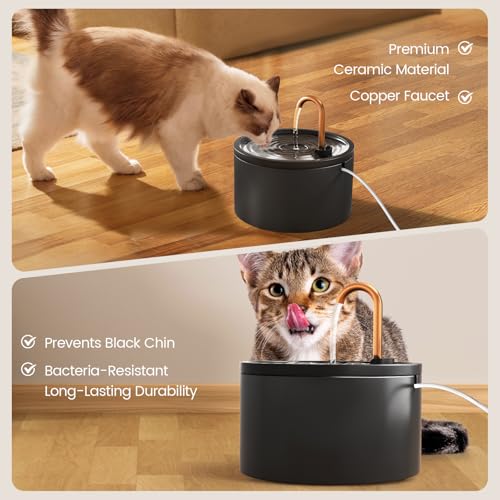 Fuente para gatos de cerámica MISFANS con 12 filtros miniatura 4