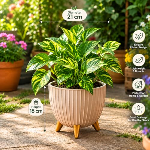 Image of (7 Inch) Plastic Gamala for Indoor Outdoor Plants with Stand, planters for Home Decor, Flower Pot with Legs, Flower Pot for Living Room, Garden, Pot for Office Table & Home (Brown, 3)