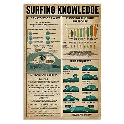 Letrero de hojalata con información sobre surf, decoración vintage para colgar en la oficina, guía de etiqueta de trompeta, placa para decoración de pared de casa, club o habitación, 20 x 30 cm.